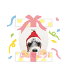 なすびすたんぷ①（個別スタンプ：9）