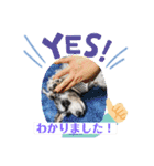 なすびすたんぷ①（個別スタンプ：13）
