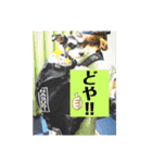 なすびすたんぷ①（個別スタンプ：15）