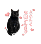 心なごむ黒猫 くぅちゃん♡（個別スタンプ：4）