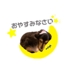 テンくん,アンジュちゃん by晩ママ（個別スタンプ：3）