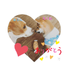 ちくわだワン（個別スタンプ：5）