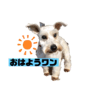 令ちゃんスタンプ1（個別スタンプ：1）