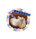令ちゃんスタンプ1（個別スタンプ：2）