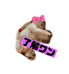 令ちゃんスタンプ1（個別スタンプ：3）