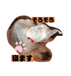 令ちゃんスタンプ1（個別スタンプ：4）