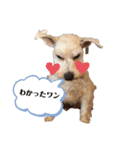 令ちゃんスタンプ1（個別スタンプ：7）