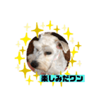 令ちゃんスタンプ1（個別スタンプ：12）