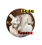 令ちゃんスタンプ1（個別スタンプ：13）