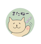 ねこ ばっかり 2（個別スタンプ：24）