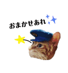 我が家のにゃんこズmycats②（個別スタンプ：33）