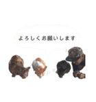 Bm(ビーマイナー)（個別スタンプ：25）