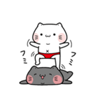しらたまとタマクロー スタンプ②（個別スタンプ：1）
