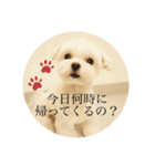 ぐみの毎日（個別スタンプ：1）
