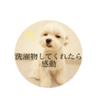 ぐみの毎日（個別スタンプ：2）