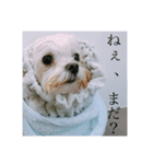 ぐみの毎日（個別スタンプ：3）