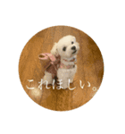 ぐみの毎日（個別スタンプ：6）