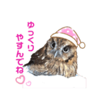 ふくろう アカラさんの日常2（個別スタンプ：16）