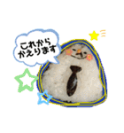 おにぎりスタンプ①（個別スタンプ：14）