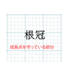 「解説付き」理科（生物）スタンプ2（個別スタンプ：11）