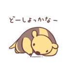 コアリクイと暮らす（個別スタンプ：12）