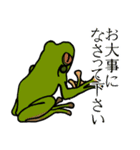 カエルちんと仲間 ver.敬語（個別スタンプ：5）