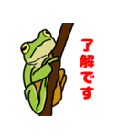 カエルちんと仲間 ver.敬語（個別スタンプ：13）