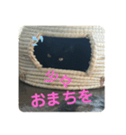 かわよいねこちゃん（個別スタンプ：8）