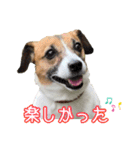 はなちゃん＆rose（個別スタンプ：2）