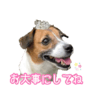 はなちゃん＆rose（個別スタンプ：5）