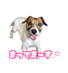 はなちゃん＆rose（個別スタンプ：6）