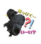 文、はんこ（個別スタンプ：11）