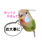文、はんこ（個別スタンプ：12）