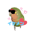 文、はんこ（個別スタンプ：13）