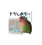 文、はんこ（個別スタンプ：16）