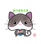 ハチワレにゃ（個別スタンプ：1）