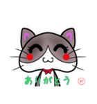 ハチワレにゃ（個別スタンプ：8）