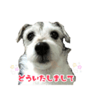 さくらといつも一緒（個別スタンプ：6）