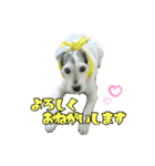 さくらといつも一緒（個別スタンプ：7）