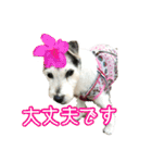 さくらといつも一緒（個別スタンプ：9）