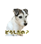さくらといつも一緒（個別スタンプ：10）