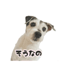 さくらといつも一緒（個別スタンプ：11）