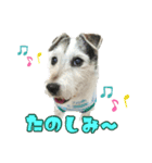 さくらといつも一緒（個別スタンプ：12）