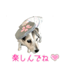 さくらといつも一緒（個別スタンプ：14）