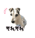 さくらといつも一緒（個別スタンプ：15）