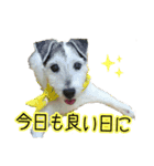 さくらといつも一緒（個別スタンプ：16）