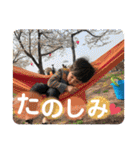 日常スタンプ 40個入り！（個別スタンプ：14）