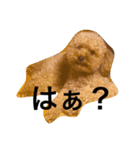 サンタとチャイ（個別スタンプ：15）