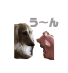 愛犬 塁ちゃんのスタンプ（個別スタンプ：6）