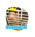 りぼん、ふぶき（個別スタンプ：4）